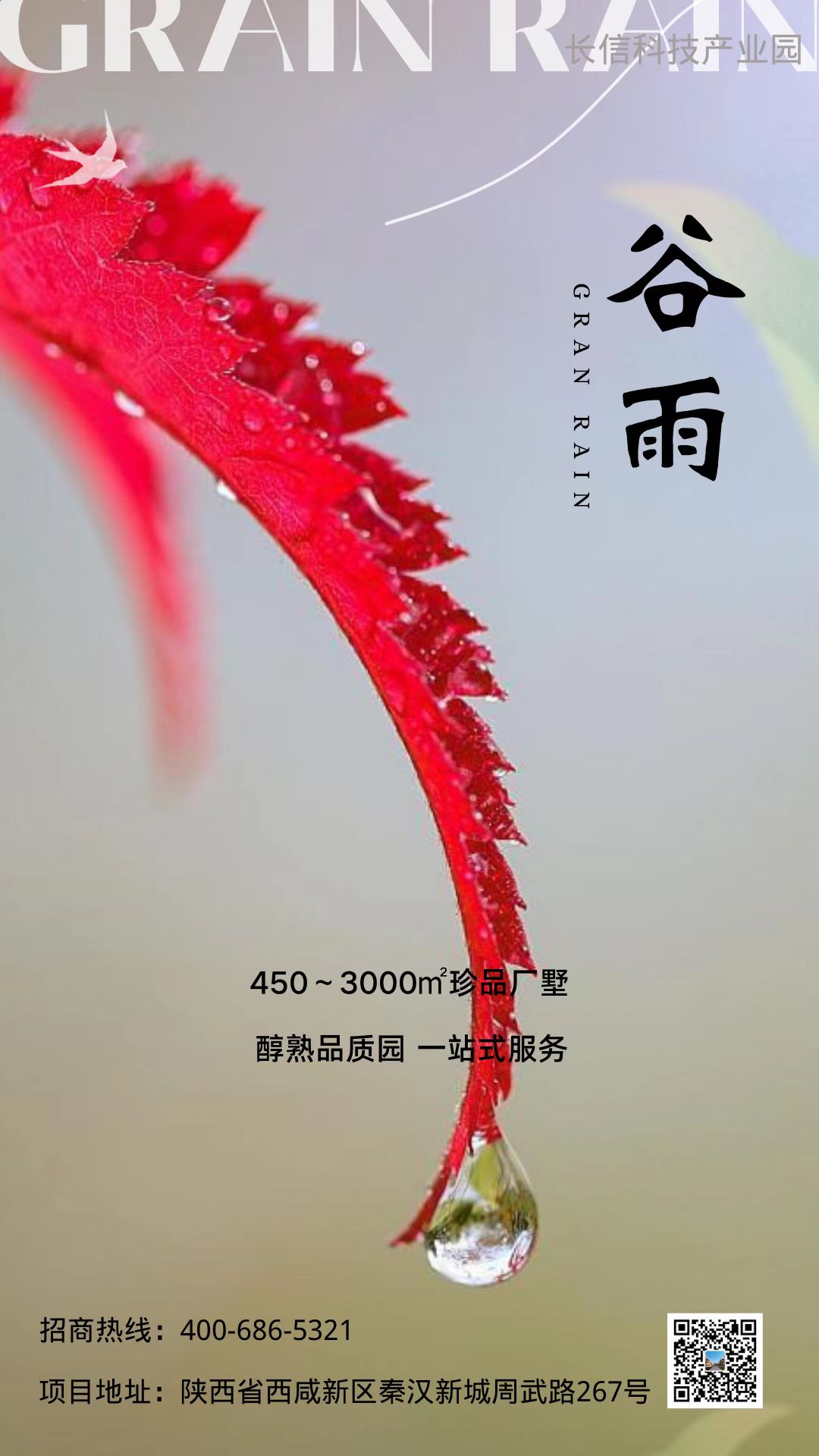 ꝙأòڶ