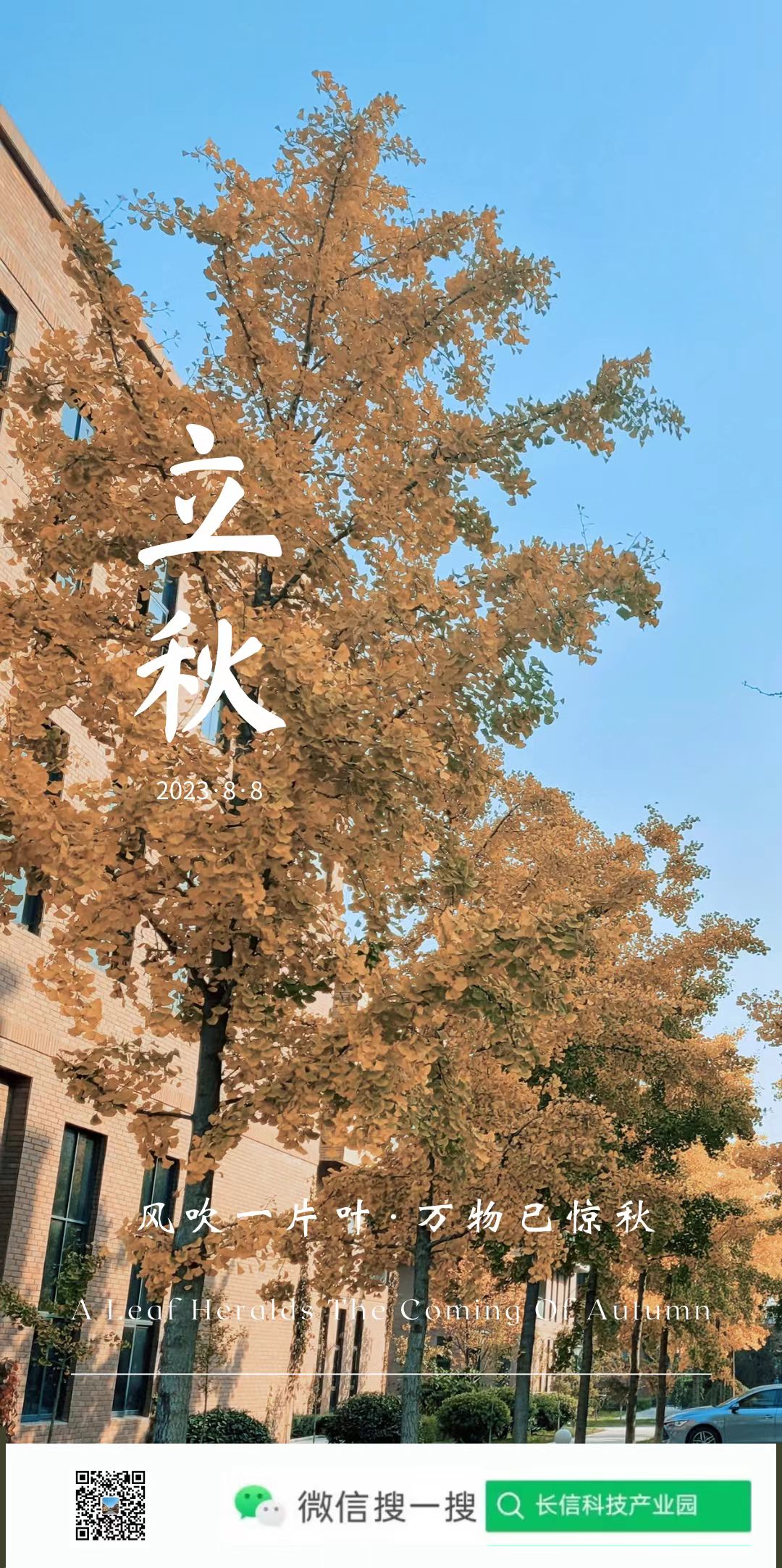 長信科技產業園 長信科技產業園